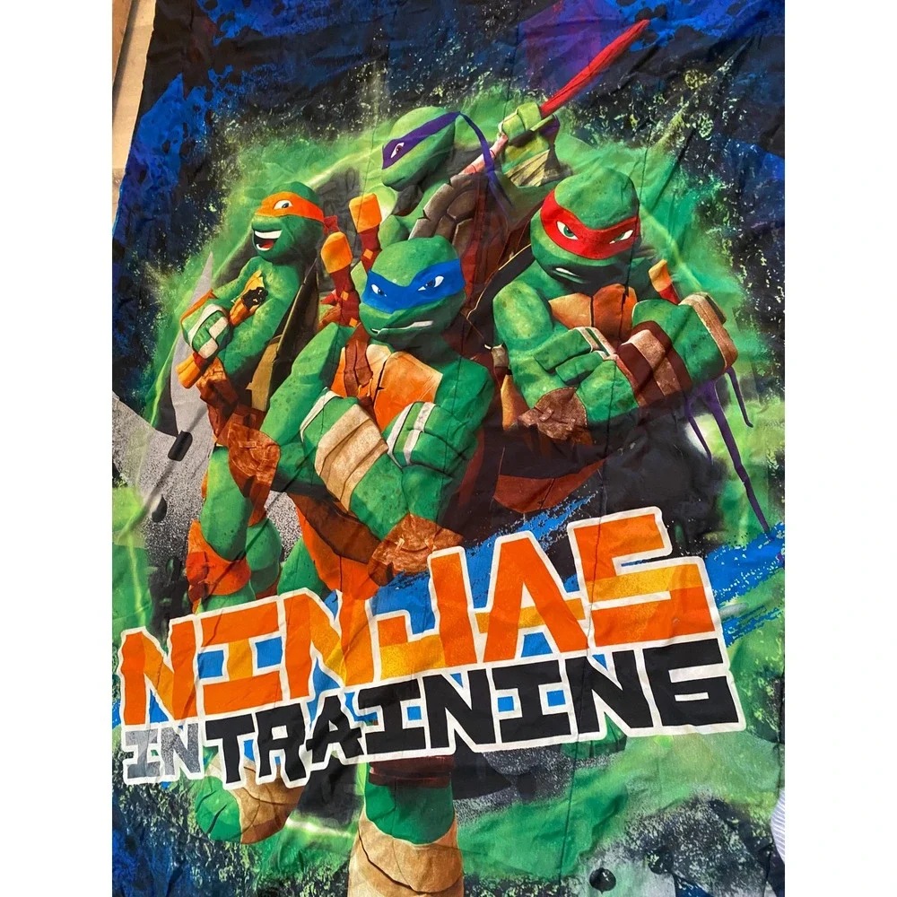 Teenage Mutant Ninja Turtles Twin Comforter Set Ninjas In Training Blue Green
